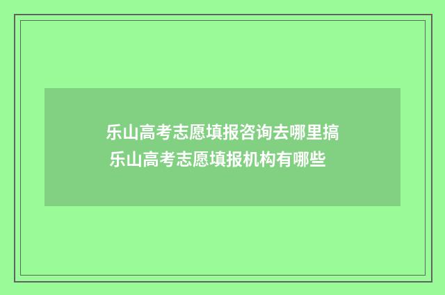 乐山高考志愿填报咨询去哪里搞 乐山高考志愿填报机构有哪些