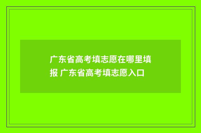 广东省高考填志愿在哪里填报 广东省高考填志愿入口