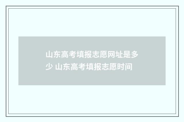 山东高考填报志愿网址是多少 山东高考填报志愿时间