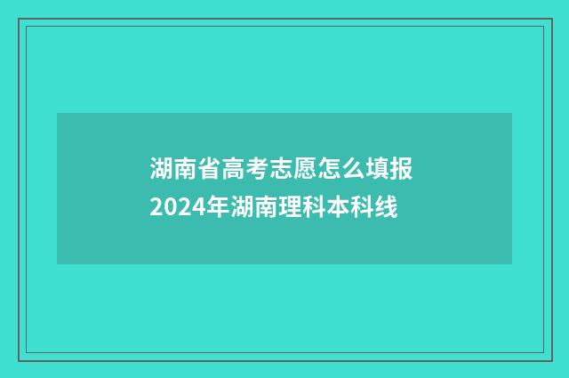 湖南省高考志愿怎么填报 2024年湖南理科本科线