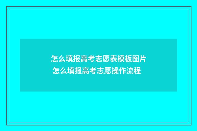 怎么填报高考志愿表模板图片 怎么填报高考志愿操作流程