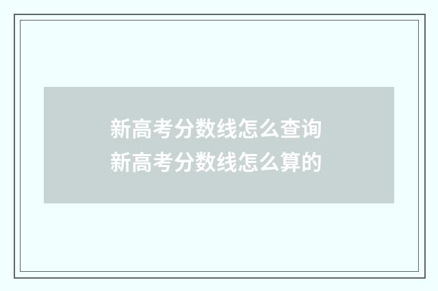 新高考分数线怎么查询 新高考分数线怎么算的