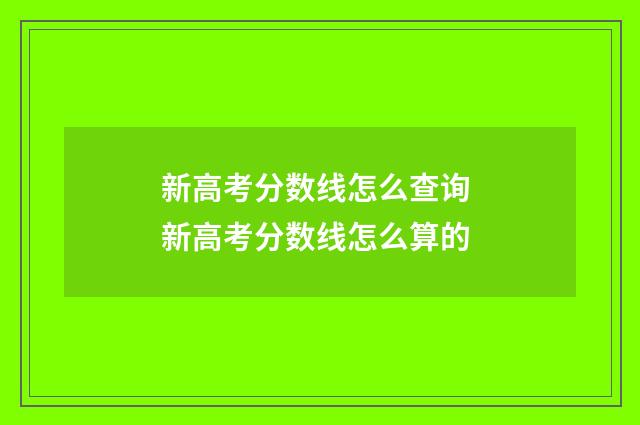 新高考分数线怎么查询 新高考分数线怎么算的