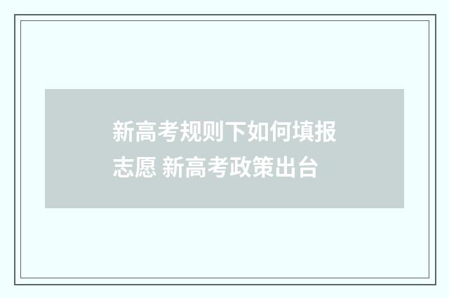 新高考规则下如何填报志愿 新高考政策出台