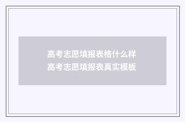 高考志愿填报表格什么样 高考志愿填报表真实模板