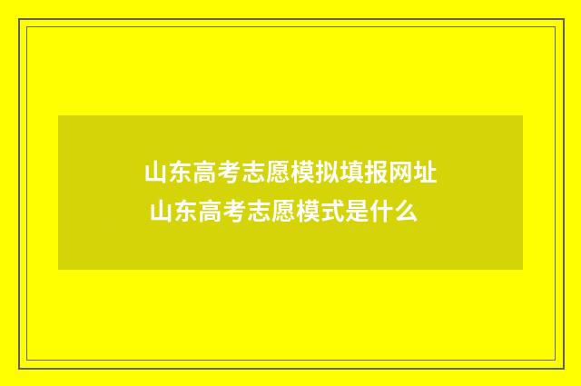 山东高考志愿模拟填报网址 山东高考志愿模式是什么
