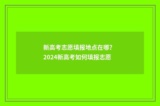 新高考志愿填报地点在哪？ 2024新高考如何填报志愿