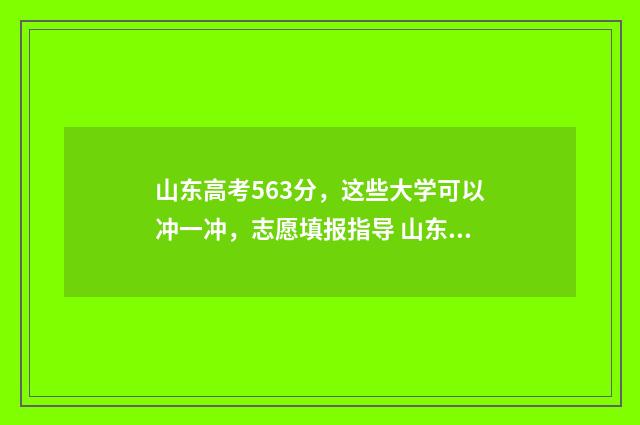山东高考563分，这些大学可以冲一冲，志愿填报指导 山东高考563分算高分吗