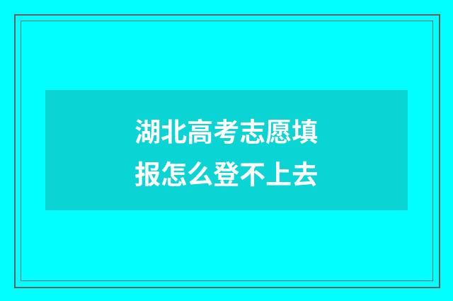湖北高考志愿填报怎么登不上去