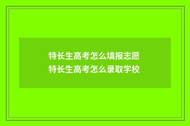 特长生高考怎么填报志愿 特长生高考怎么录取学校