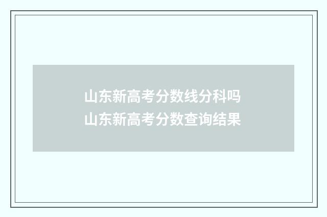 山东新高考分数线分科吗 山东新高考分数查询结果