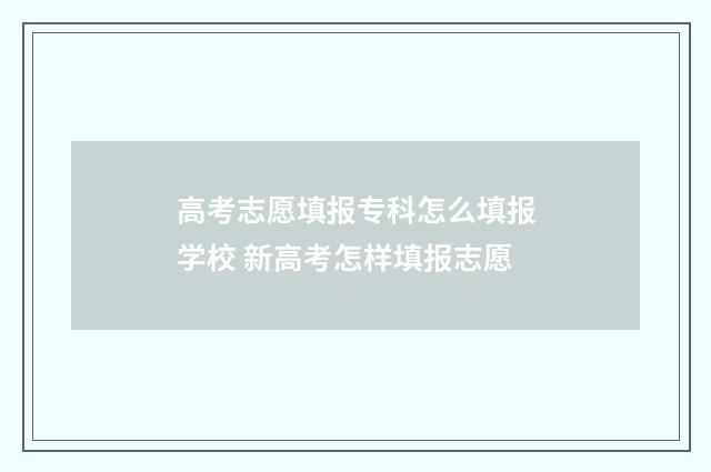 高考志愿填报专科怎么填报学校 新高考怎样填报志愿