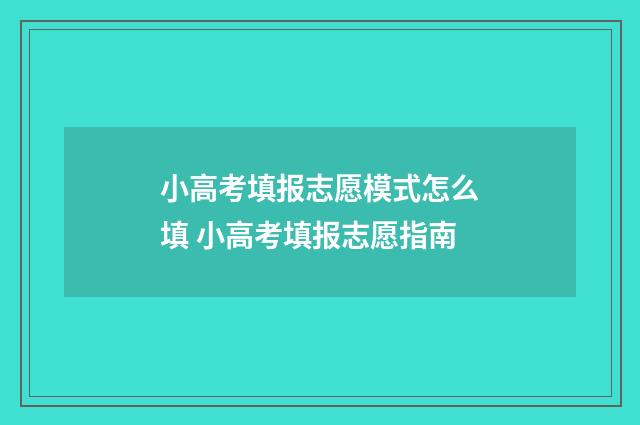 小高考填报志愿模式怎么填 小高考填报志愿指南