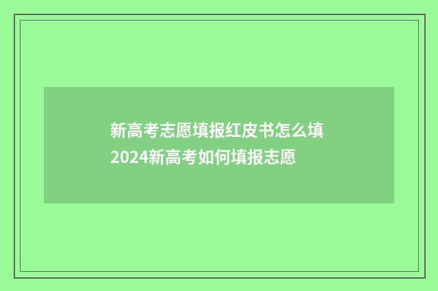 新高考志愿填报红皮书怎么填 2024新高考如何填报志愿