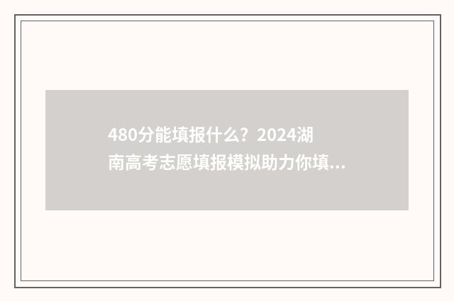480分能填报什么?2024湖南高考志愿填报模拟助力你填报理想大学 480分选什么专业