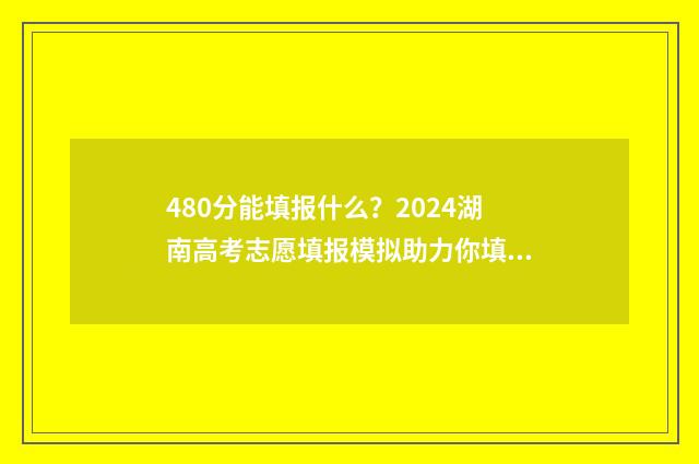 480分能填报什么?2024湖南高考志愿填报模拟助力你填报理想大学 480分选什么专业