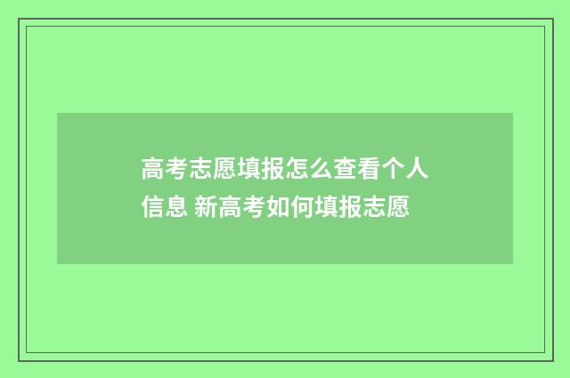 高考志愿填报怎么查看个人信息 新高考如何填报志愿