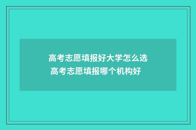 高考志愿填报好大学怎么选 高考志愿填报哪个机构好