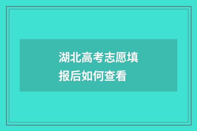 湖北高考志愿填报后如何查看