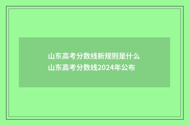 山东高考分数线新规则是什么 山东高考分数线2024年公布