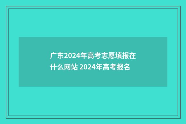 广东2024年高考志愿填报在什么网站 2024年高考报名