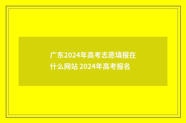广东2024年高考志愿填报在什么网站 2024年高考报名