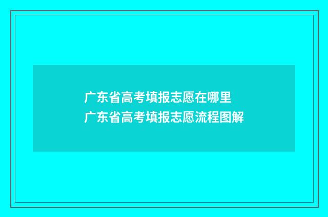 广东省高考填报志愿在哪里 广东省高考填报志愿流程图解