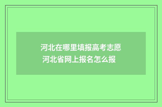 河北在哪里填报高考志愿 河北省网上报名怎么报