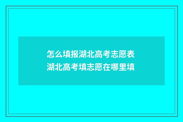 怎么填报湖北高考志愿表 湖北高考填志愿在哪里填