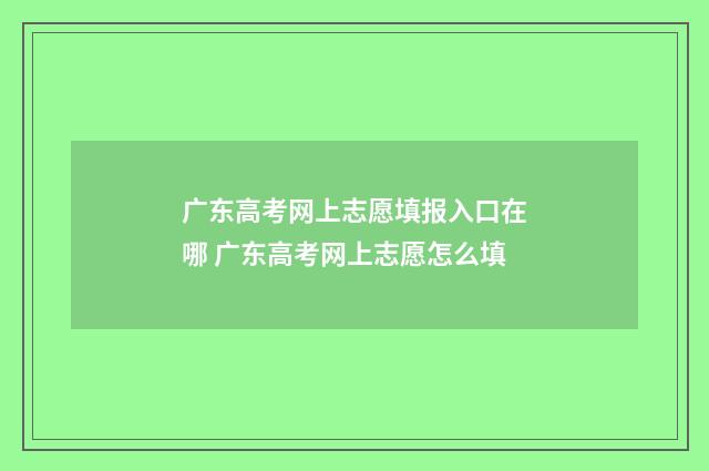 广东高考网上志愿填报入口在哪 广东高考网上志愿怎么填