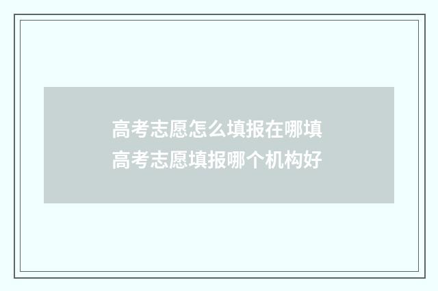 高考志愿怎么填报在哪填 高考志愿填报哪个机构好
