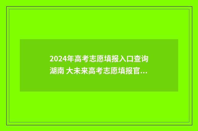 2024年高考志愿填报入口查询湖南 大未来高考志愿填报官网