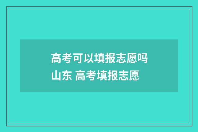 高考可以填报志愿吗山东 高考填报志愿