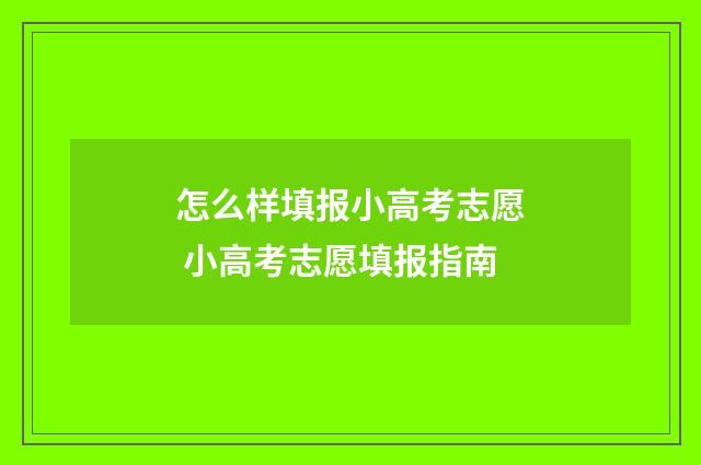 怎么样填报小高考志愿 小高考志愿填报指南