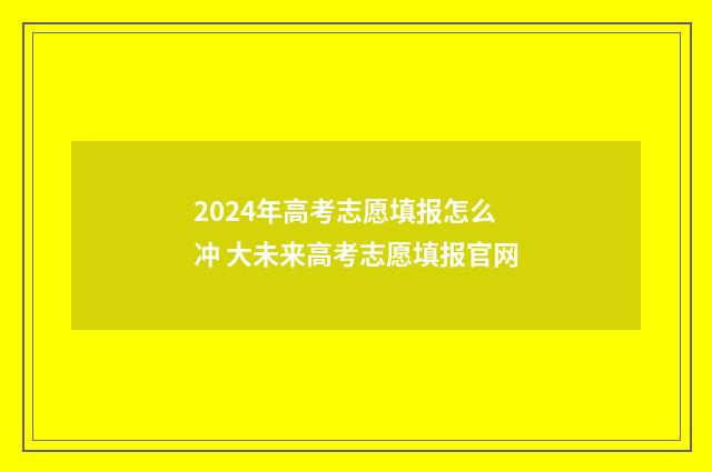 2024年高考志愿填报怎么冲 大未来高考志愿填报官网