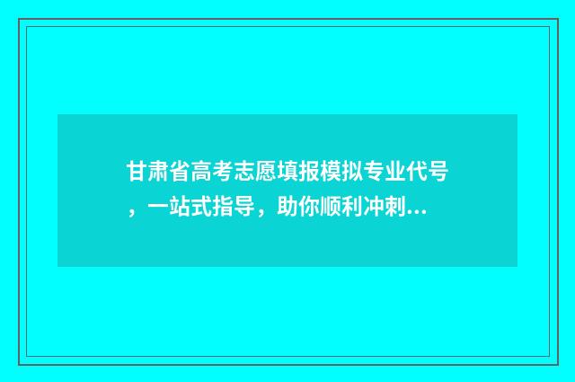 甘肃省高考志愿填报模拟专业代号,一站式指导,助你顺利冲刺! 高考报志愿