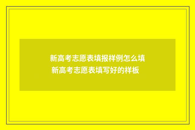 新高考志愿表填报样例怎么填 新高考志愿表填写好的样板