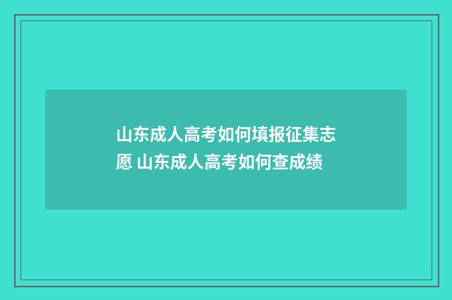 山东成人高考如何填报征集志愿 山东成人高考如何查成绩