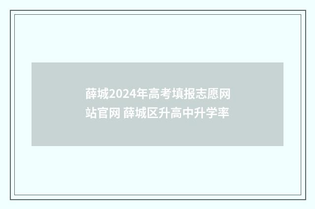 薛城2024年高考填报志愿网站官网 薛城区升高中升学率
