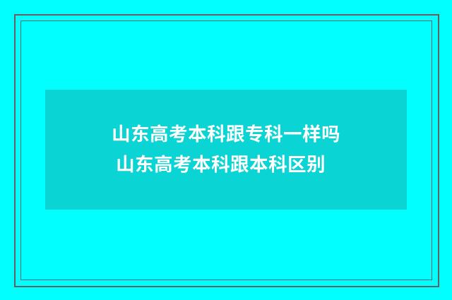 山东高考本科跟专科一样吗 山东高考本科跟本科区别
