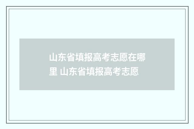 山东省填报高考志愿在哪里 山东省填报高考志愿