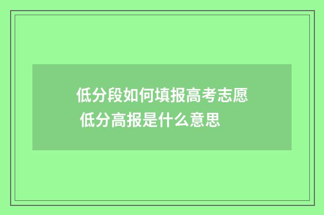 低分段如何填报高考志愿 低分高报是什么意思
