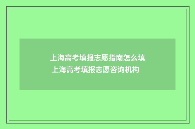 上海高考填报志愿指南怎么填 上海高考填报志愿咨询机构