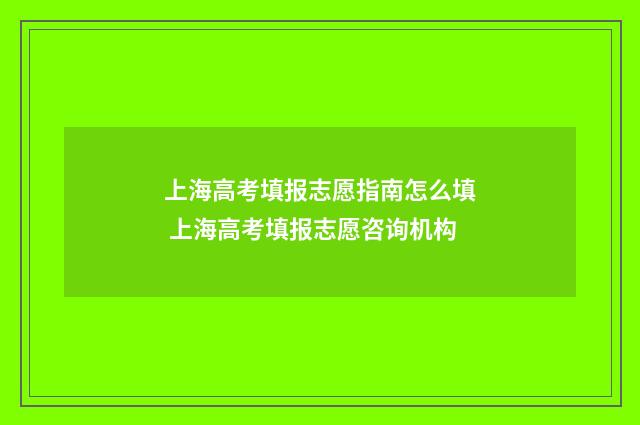 上海高考填报志愿指南怎么填 上海高考填报志愿咨询机构