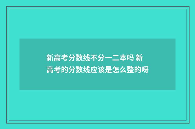 新高考分数线不分一二本吗 新高考的分数线应该是怎么整的呀