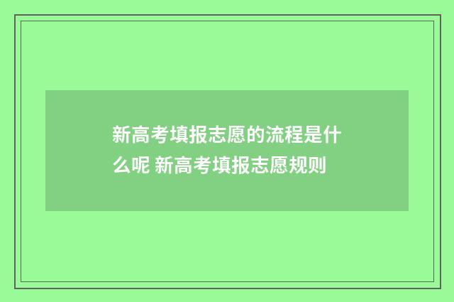 新高考填报志愿的流程是什么呢 新高考填报志愿规则