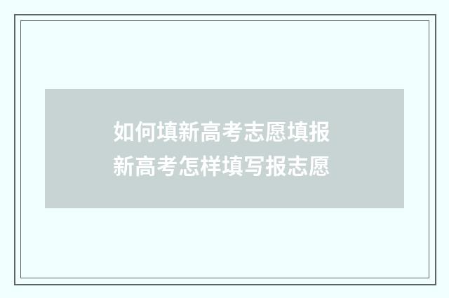 如何填新高考志愿填报 新高考怎样填写报志愿