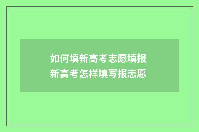 如何填新高考志愿填报 新高考怎样填写报志愿