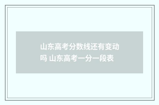山东高考分数线还有变动吗 山东高考一分一段表
