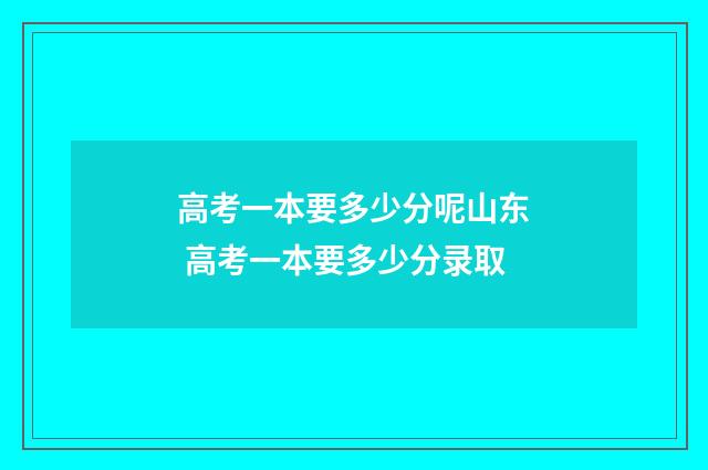 高考一本要多少分呢山东 高考一本要多少分录取